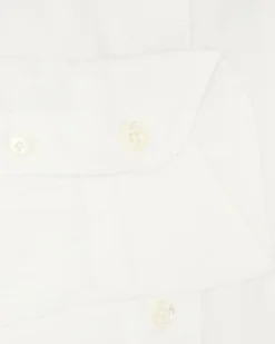 CAMISA BOLZONELLA