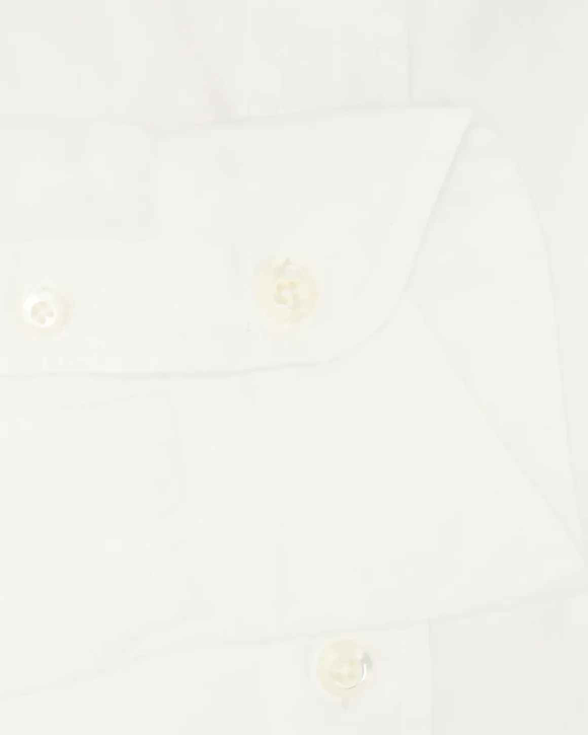 CAMISA BOLZONELLA