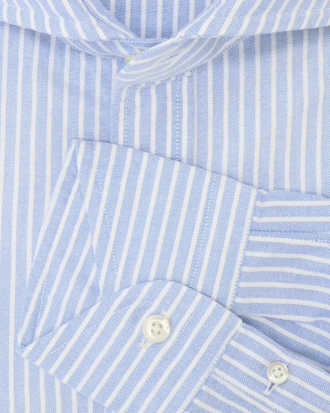 CAMISA BOLZONELLA