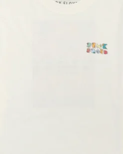 CAMISETA PINK FLOYD INTHEBOX